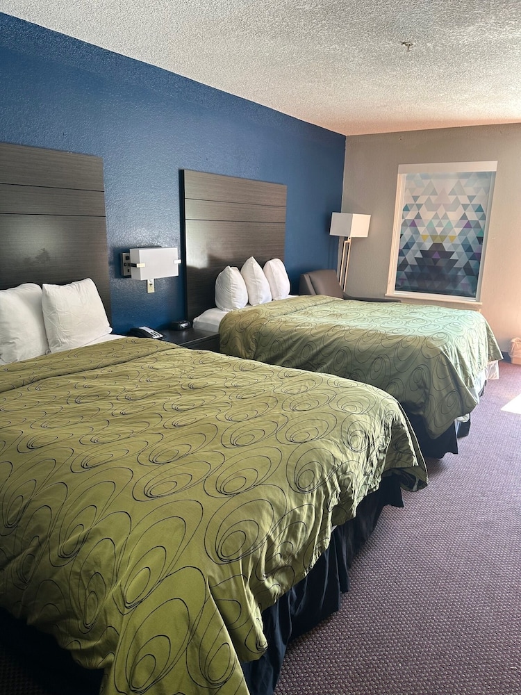 Clairmont Inn & Suites Warren - photo 30