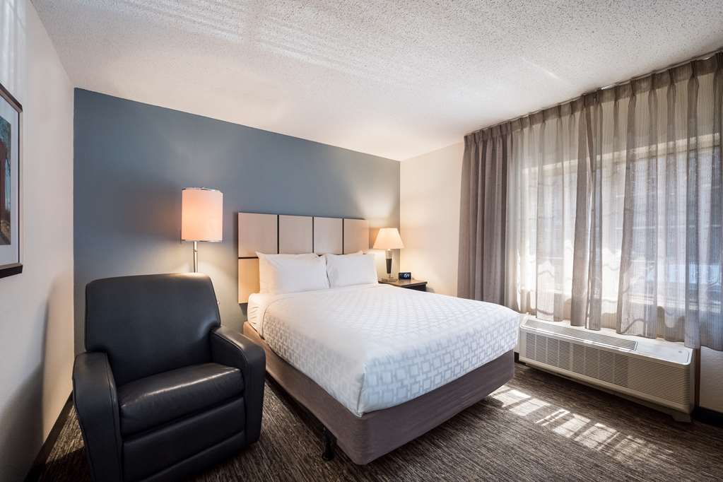 Sonesta Simply Suites Plano Frisco - photo 7