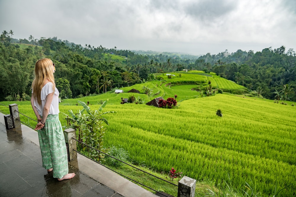 Village Above The Clouds in Baturiti, Indonesia
