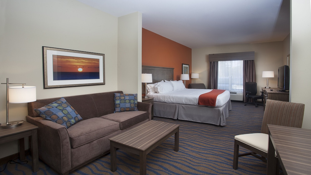 Holiday Inn Express Hotel & Suites Morgan City Tiger Island by IHG - photo 7