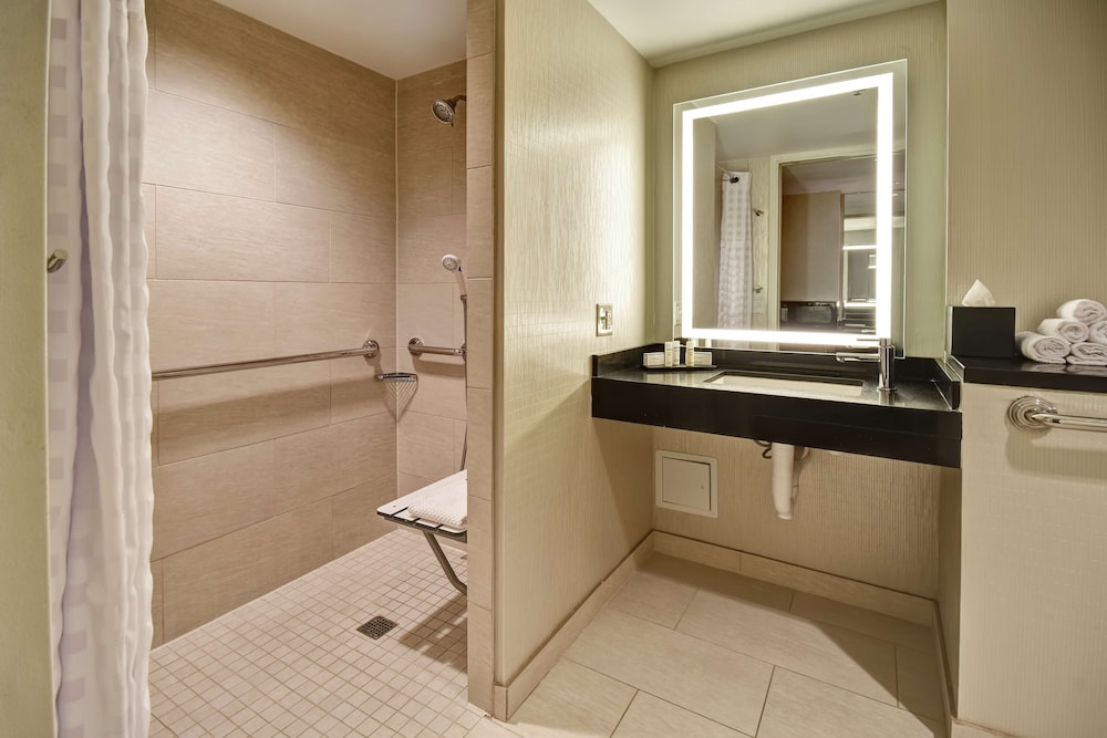 Embassy Suites by Hilton Chicago Downtown Magnificent Mile - photo 31
