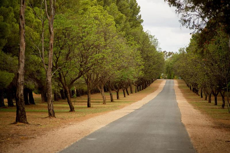 Renmark Country Club — Renmark — photo 4