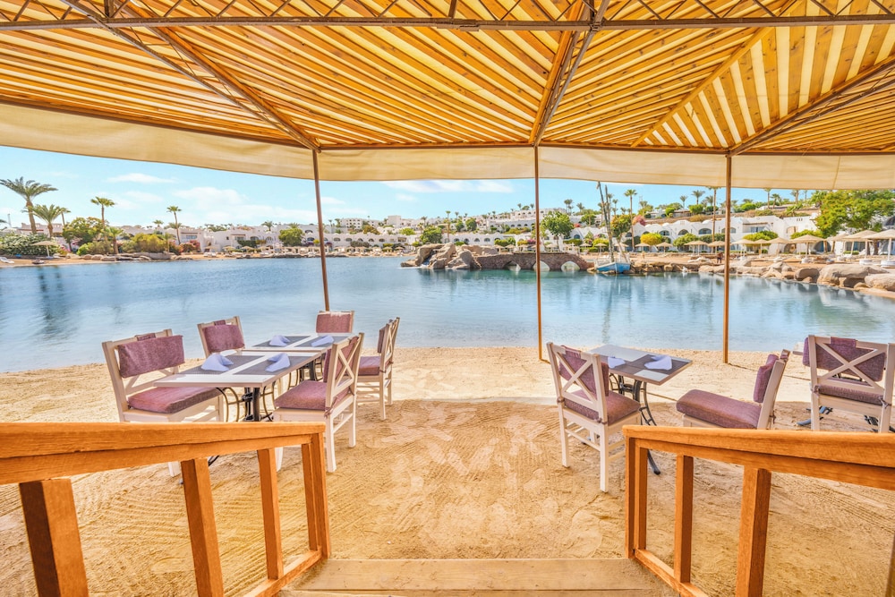 מזון ומשקאות