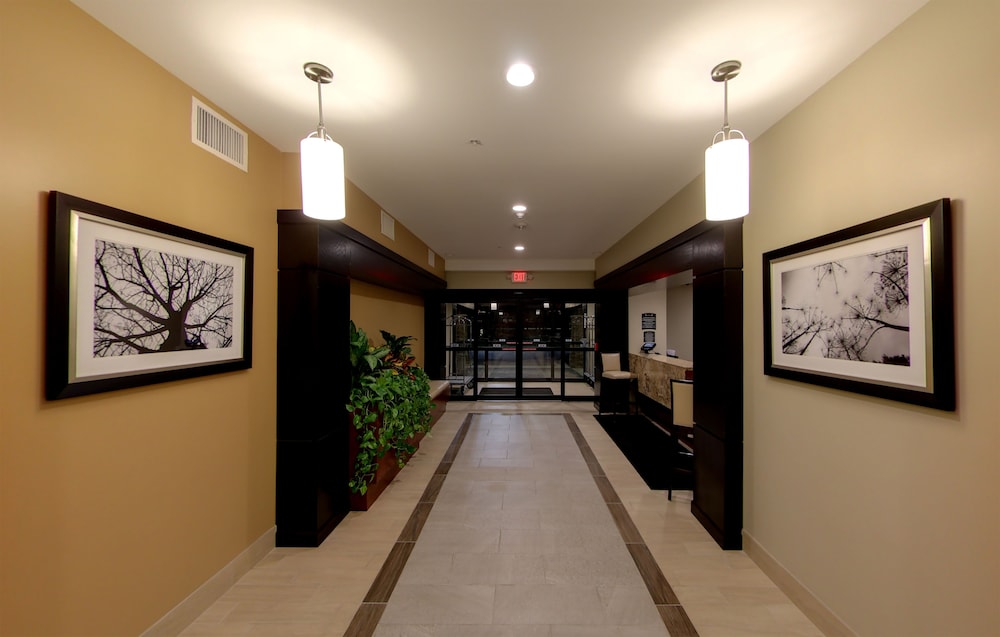 Staybridge Suites Ann Arbor Univ of Michigan by IHG - photo 37
