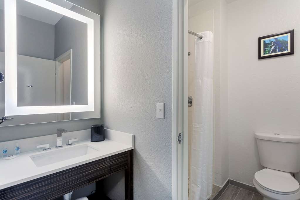 Comfort Inn & Suites Memphis East - photo 16