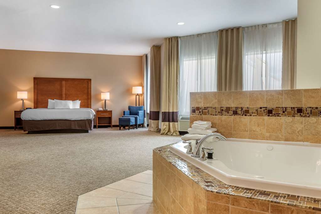 Comfort Inn Apalachin Binghamton W Route 17 - photo 24