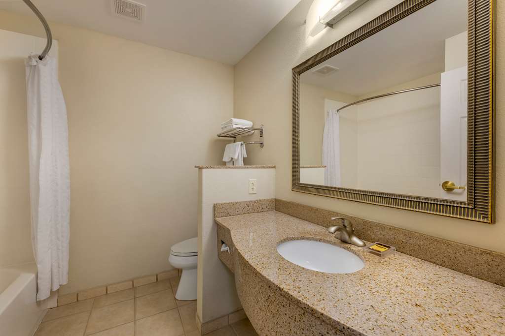 Best Western Plus Omaha Airport Inn - photo 31