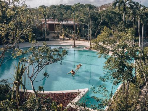 Aflora Managed by Elite Alliance — Tulum — photo 4