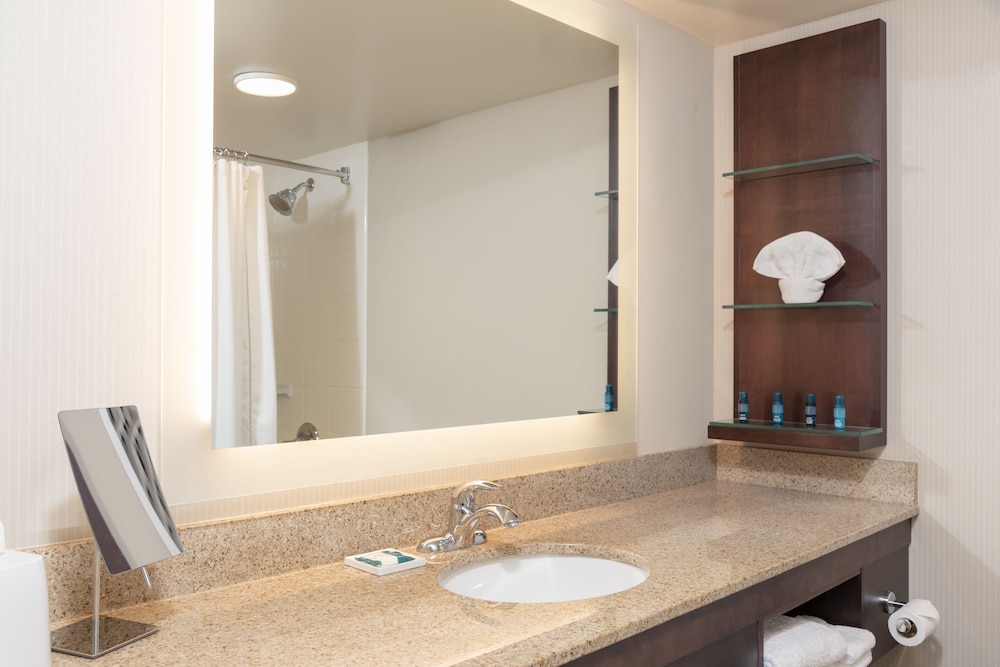 Delta Hotels by Marriott Kalamazoo Conference Center - photo 16