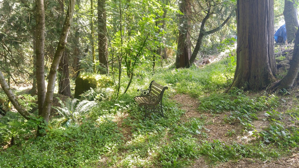Scott Creek Farm - photo 18