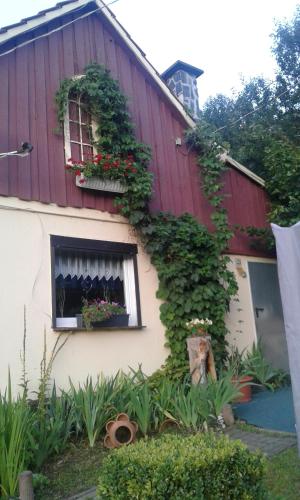 Bubi Niedlich — 4-Star Luxury Hotel in Thale, Germany