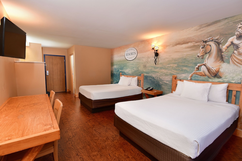 Mt. Olympus Water & Theme Park Resort - photo 46