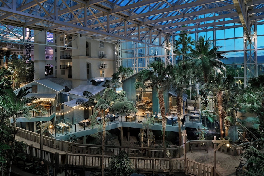 Gaylord Palms Resort & Convention Center - photo 99