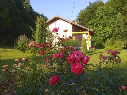 Palučak 30 in Unknown City, Bosnia and Herzegovina