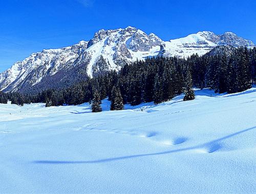 Campiglio Trilocale Cima Tosa — 4-Star Luxury Hotel in Pinzolo, Italy