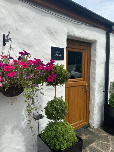 St Ronans Cottages - last minute hotel in Unknown City