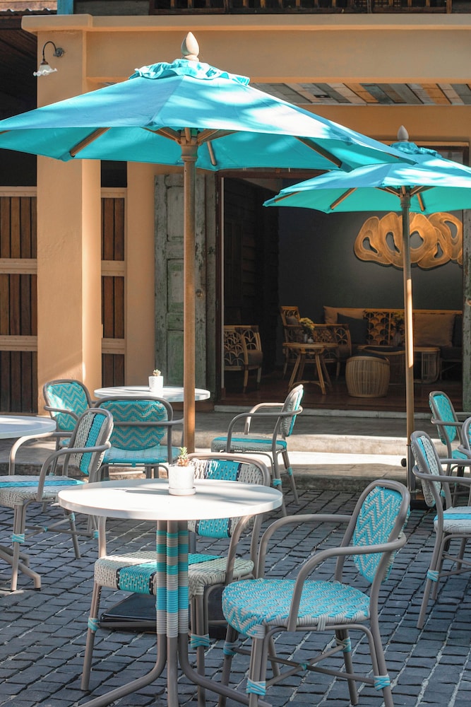 מראה חיצוני