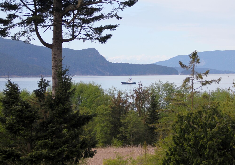 Anacortes Ship Harbor Inn - photo 42