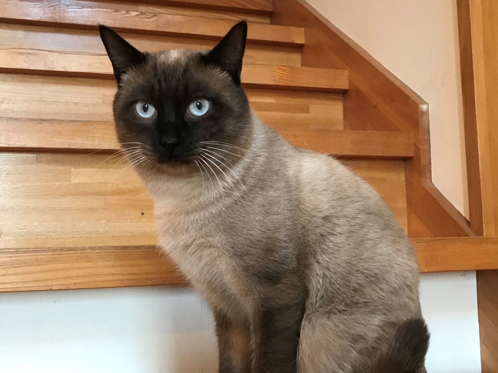 Longfield in Minamiboso, Japan