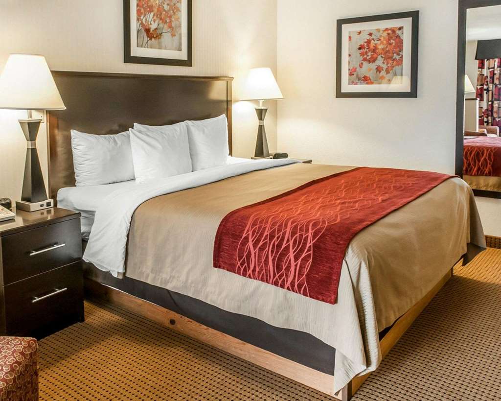 Quality Inn & Suites Farmington - photo 36
