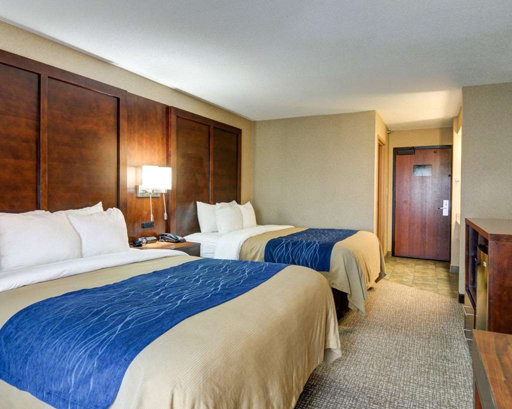 Comfort Inn & Suites Conway - photo 5