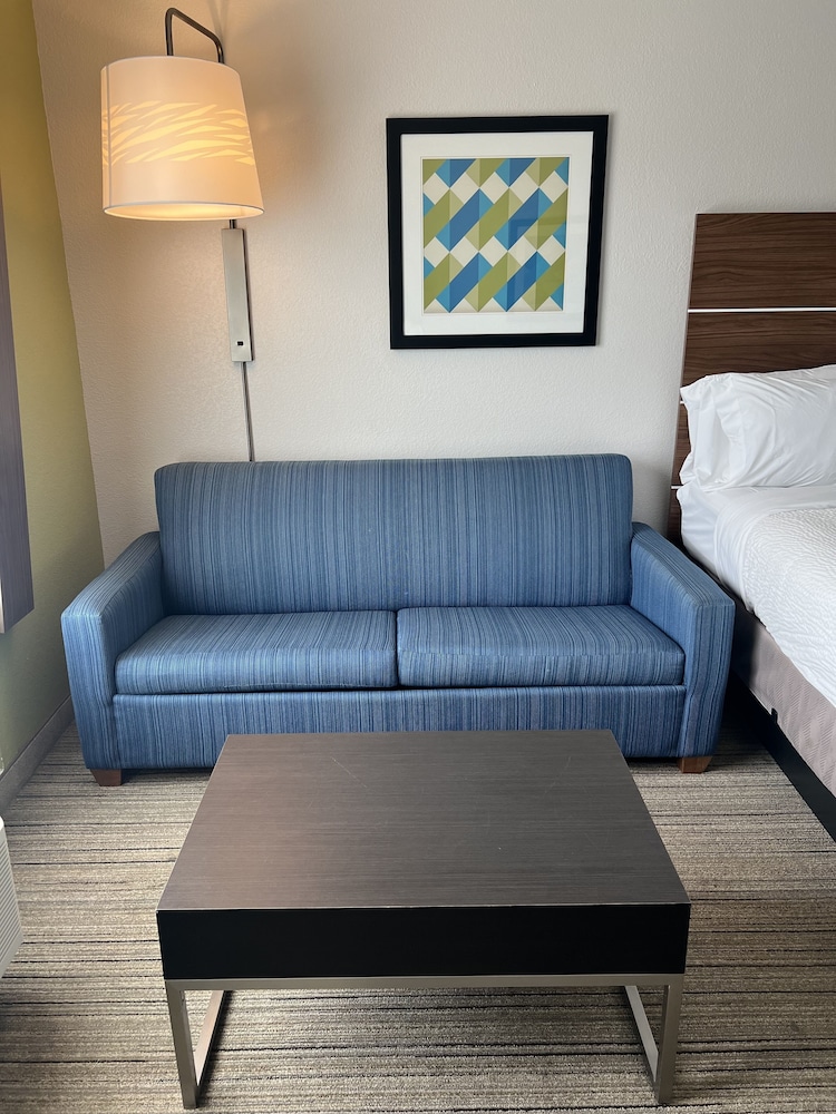 Holiday Inn Express & Suites Mobile University Area by IHG - photo 7
