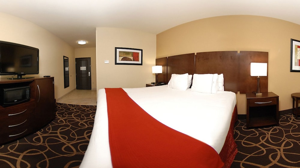 Holiday Inn Express & Suites Houston South near Pearland by IHG - photo 3