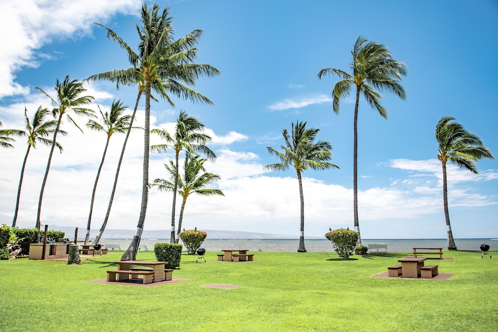 Molokai Shores - photo 23