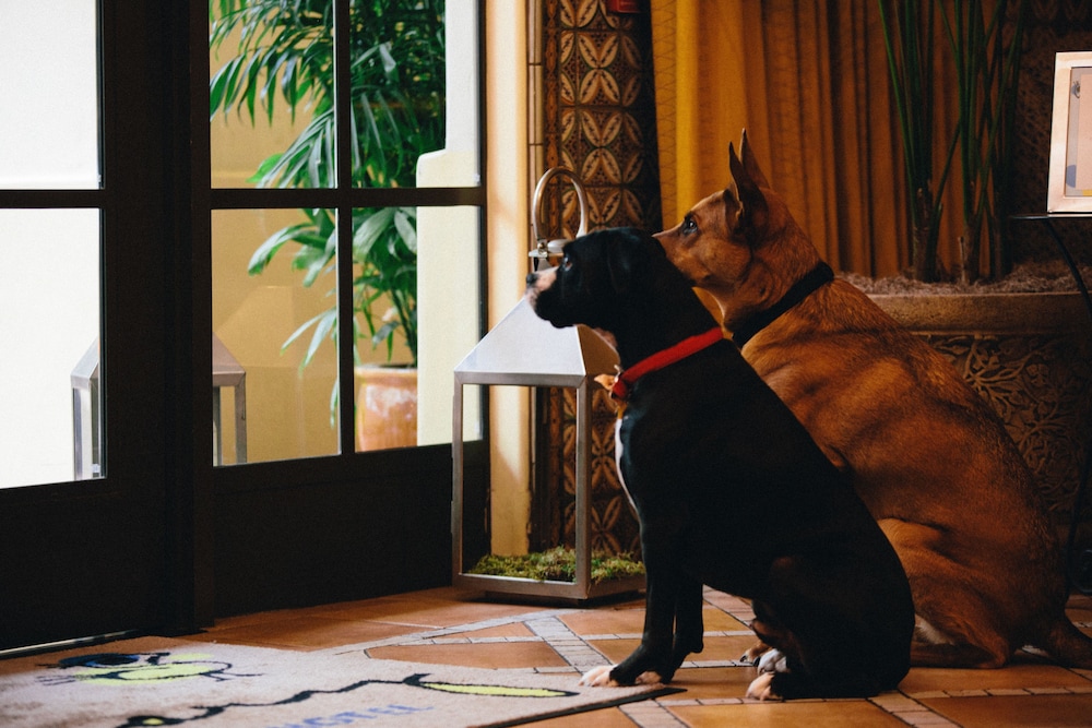 Kimpton Canary Hotel by IHG - photo 51
