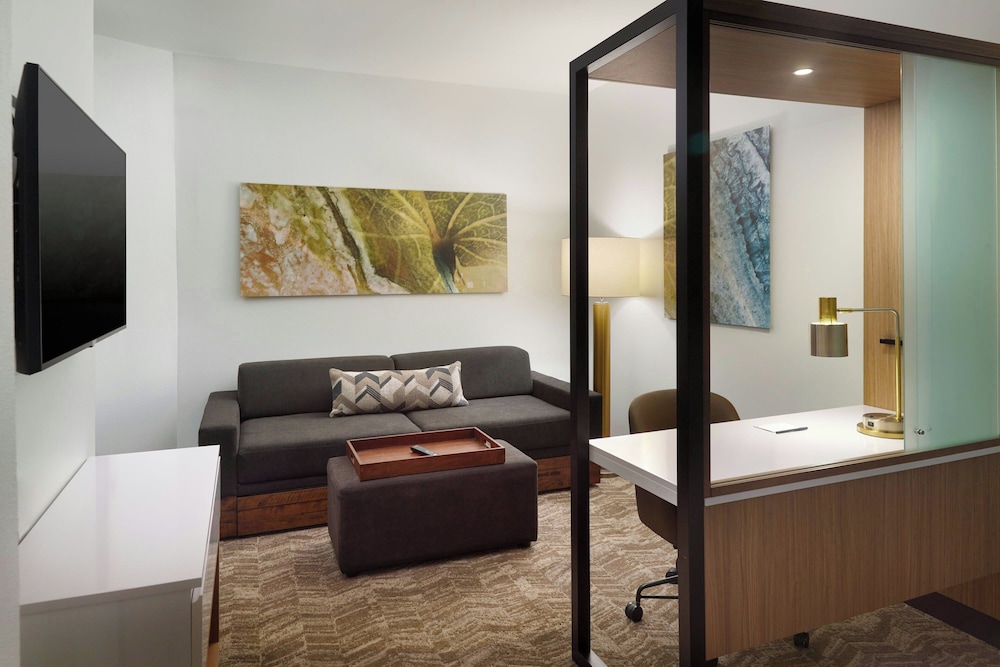 SpringHill Suites by Marriott Ellijay - photo 7