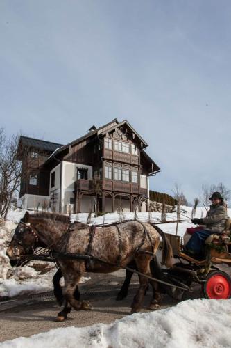 Bergvilla Oberon Your Austrian Home — Bad Aussee — photo 5