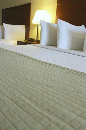 Southern Inn & Suites Lamesa - photo 3