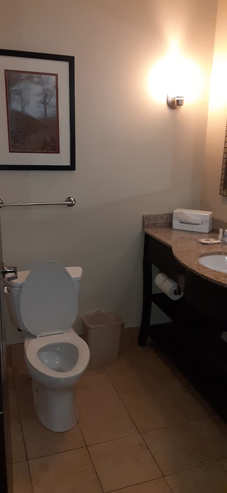 Comfort Suites Clinton near Presbyterian College - photo 23