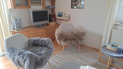 Appelboom in Garding, Germany