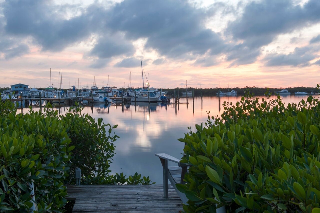 Coconut Palm Inn - photo 27