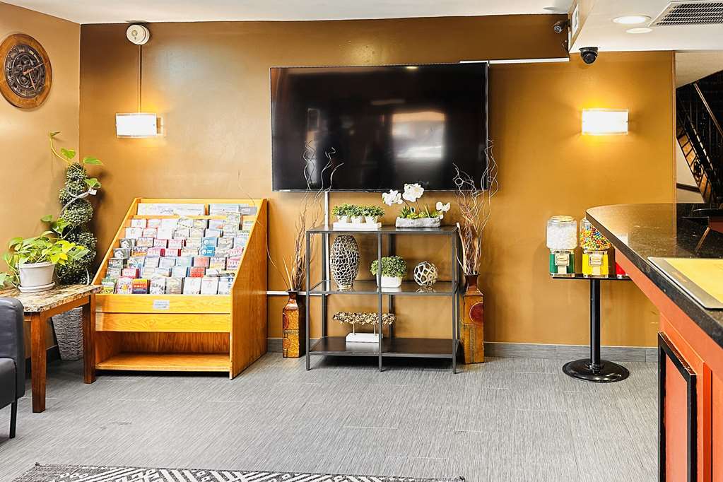 Quality Inn St. Paul Minneapolis Midway - photo 3