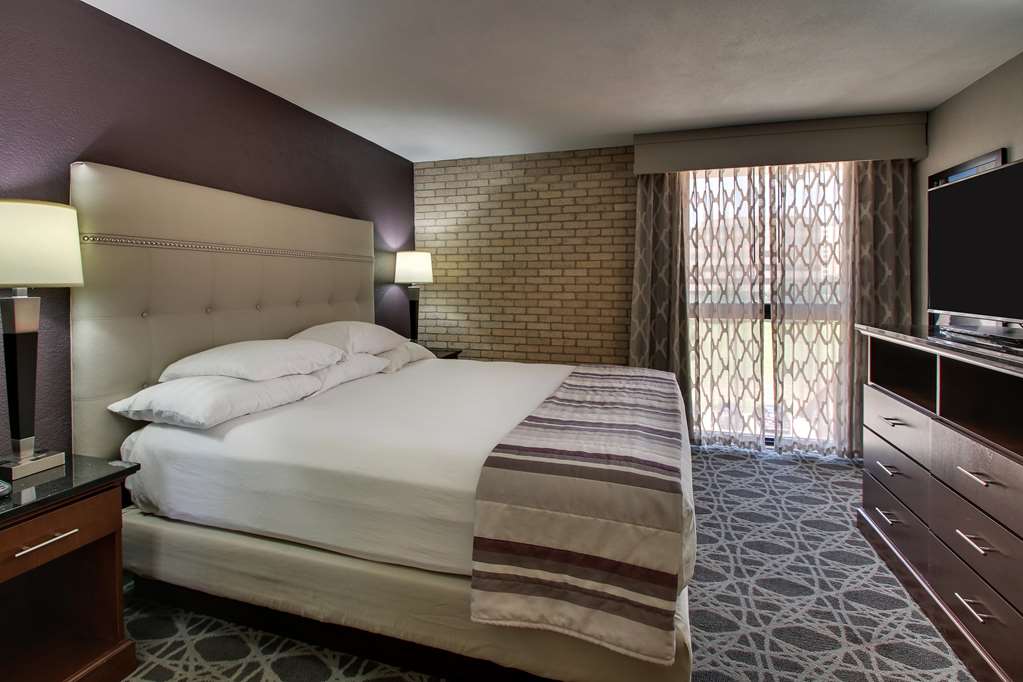 Drury Plaza Hotel San Antonio Airport - photo 18