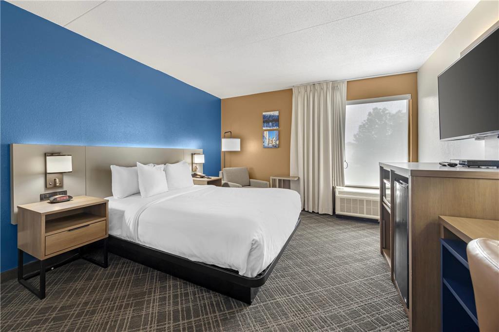 Comfort Inn Chattanooga Downtown Southside - photo 46