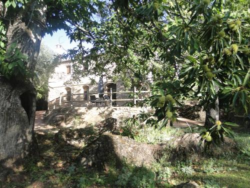 Finca La Colora — Fuenteheridos — photo 4