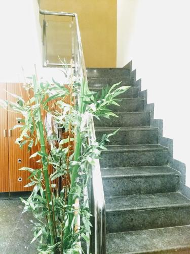 Olive Grand - last minute hotel in Chennai