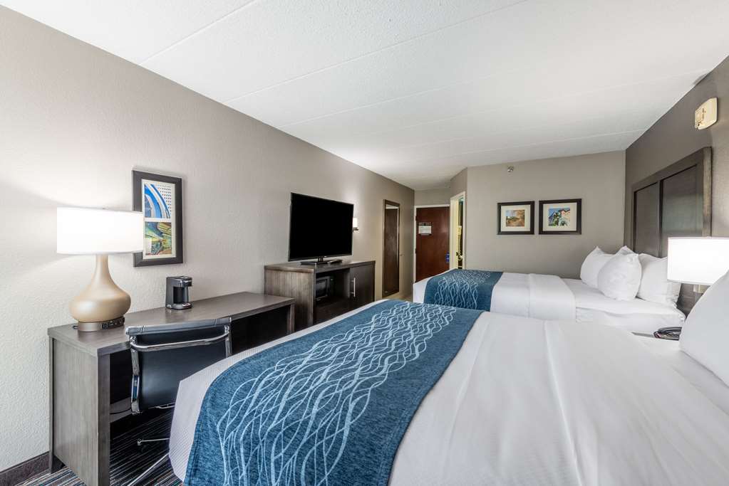 Comfort Inn Chicago Schaumburg O'Hare Airport - photo 21