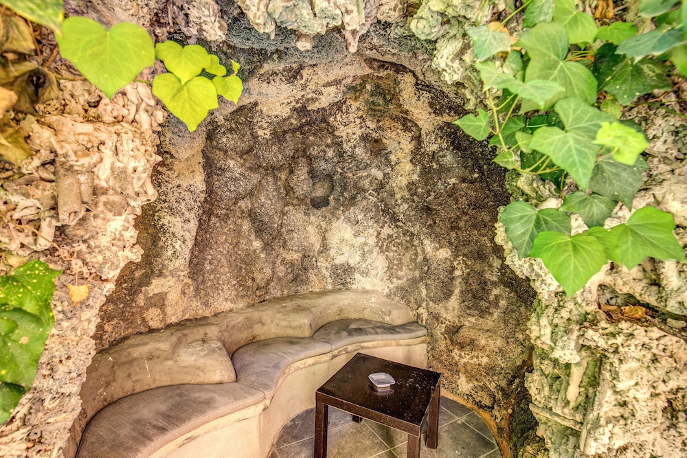 שטחי חוץ / גן