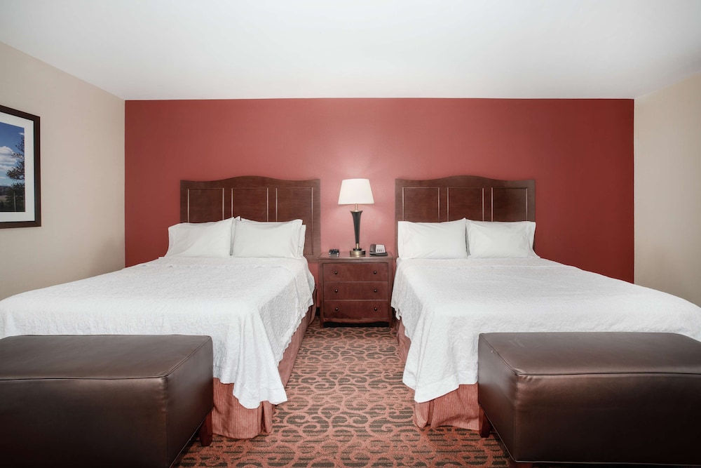 Hampton Inn & Suites Denver South RidgeGate - photo 10