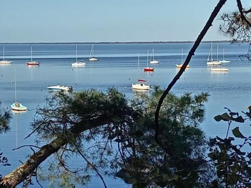 Pinede in Carcans, France