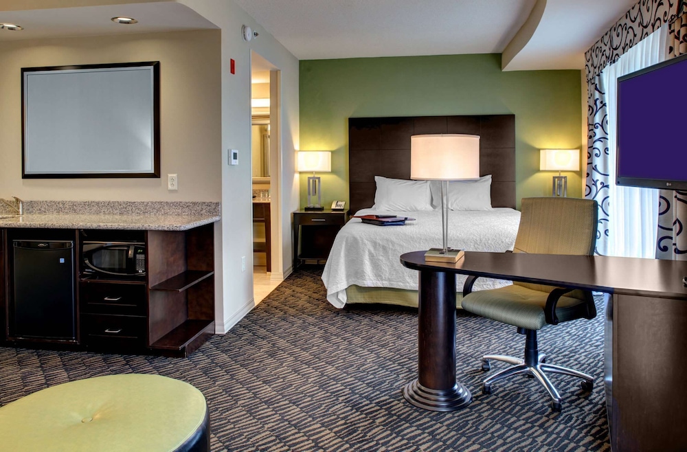 Hampton Inn & Suites Baton Rouge Downtown - photo 7