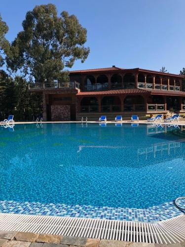 Dreamland oasis in Chakvi