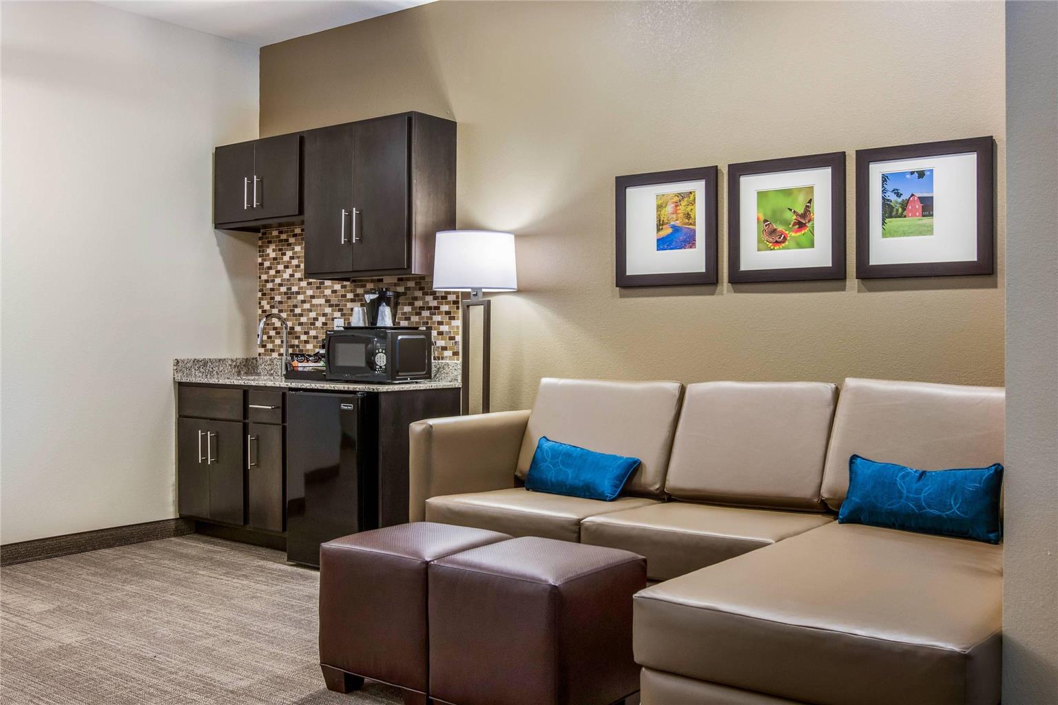 Comfort Suites Wooster near University Campus - photo 15