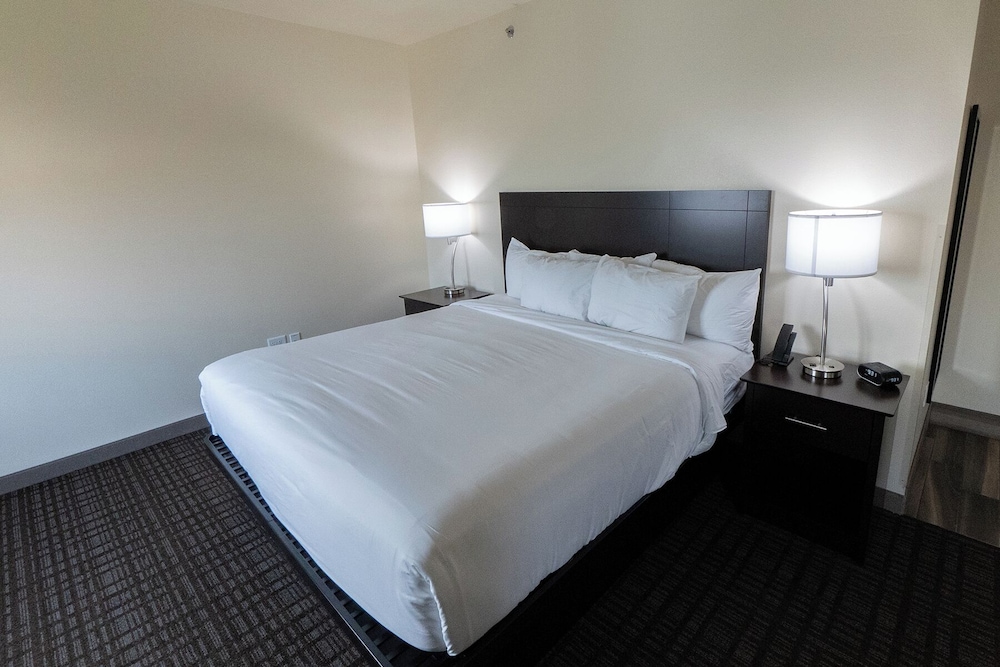 Cobblestone Inn & Suites Sheldon - photo 7