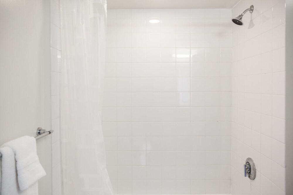 Unique 1BR in Fenway by Sonder - photo 9