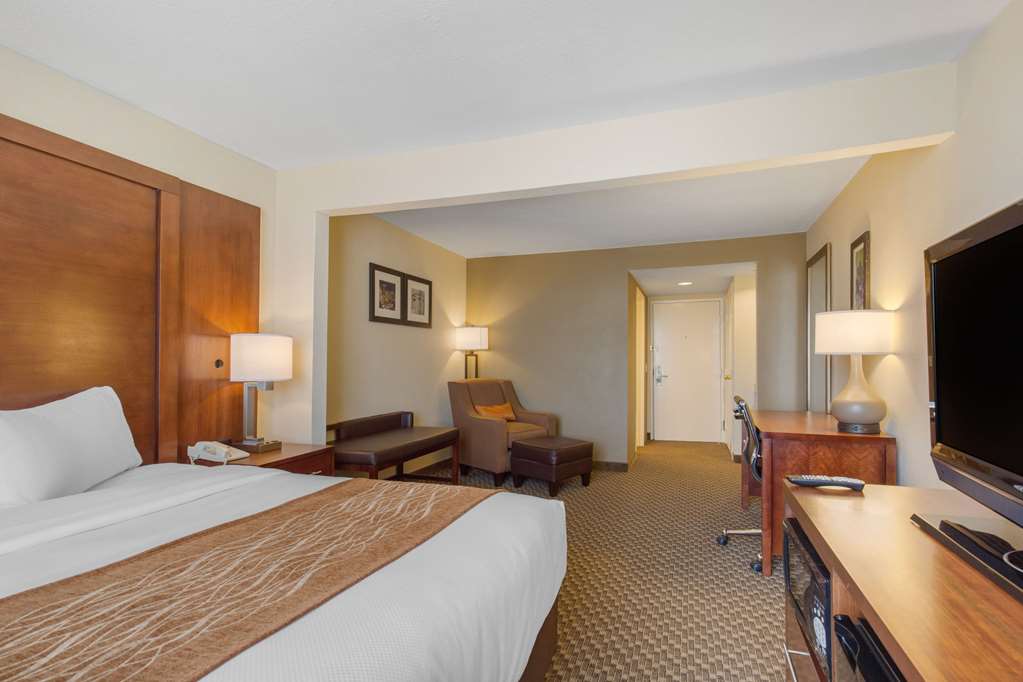 Comfort Inn & Suites SW Houston Sugarland - photo 6
